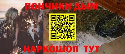 индика Жуковский