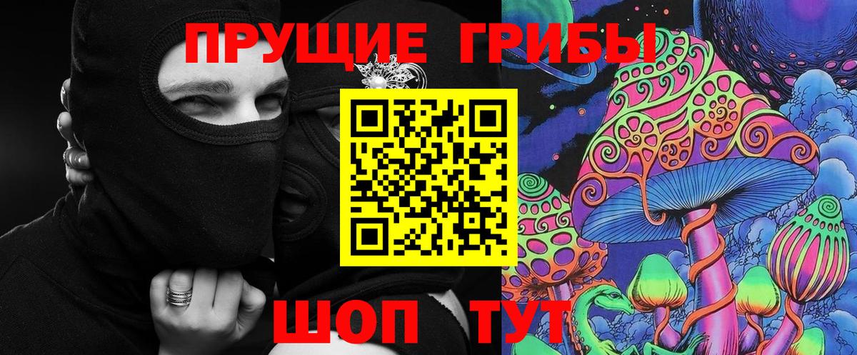Галлюциногенные грибы GOLDEN TEACHER  Псилоцибиновые грибы прущие грибы  Вход с VPN  Кушва 